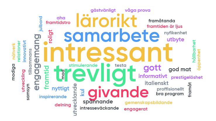 word cloud triona days 2018.jpg